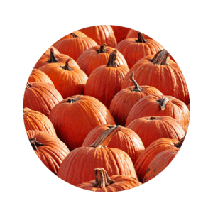 Southern Belle Farm – Southern Belle Farm is an historic 330-acre