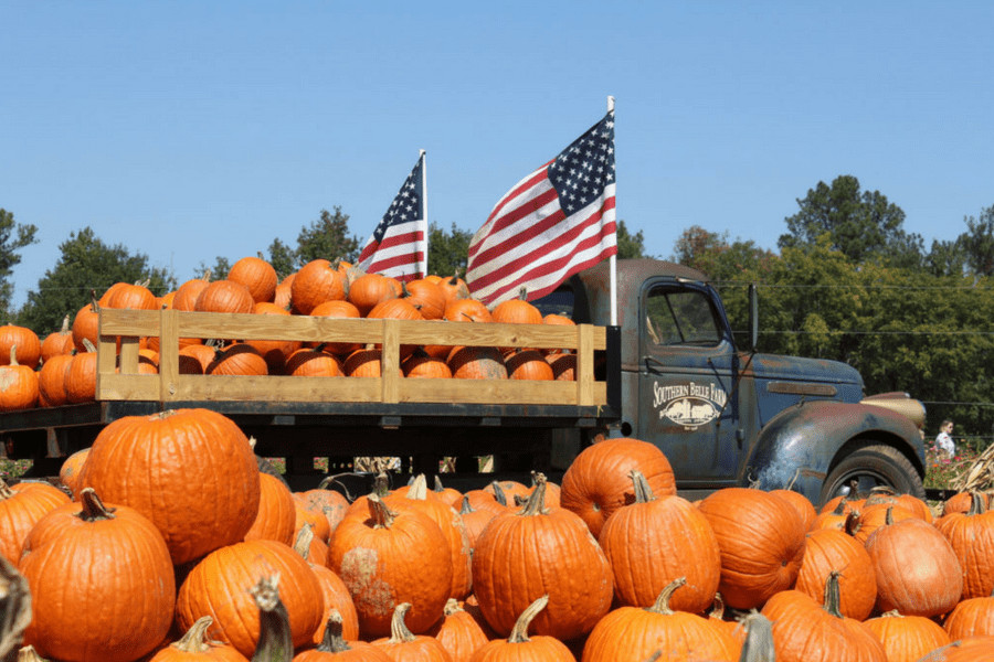 Southern Belle Pumpkins