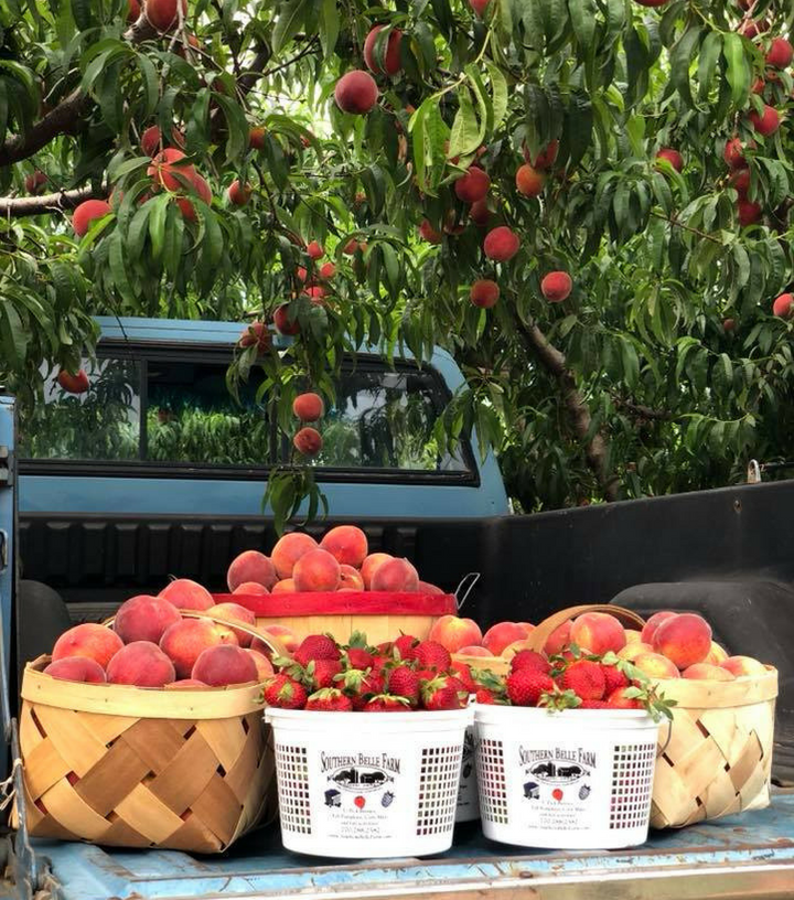 Southern Belle Farm Peaches