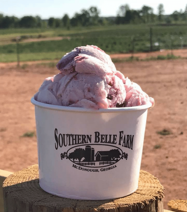 Southern Belle Farm Ice Cream