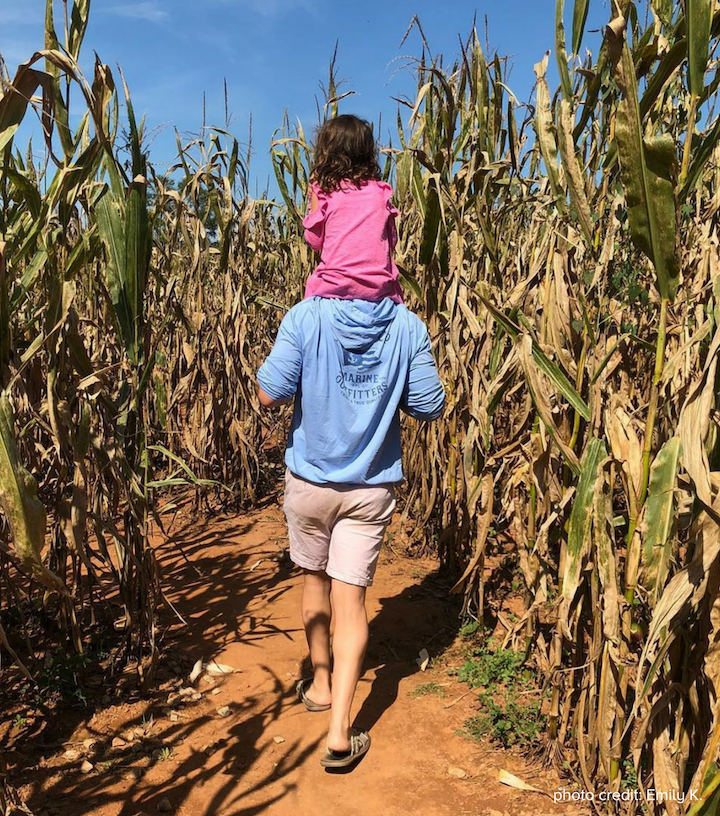 Southern Belle Corn Maze photo credit Emily K.