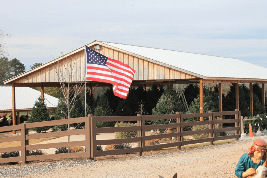 Southern Belle Farm Christmas Tree Farm