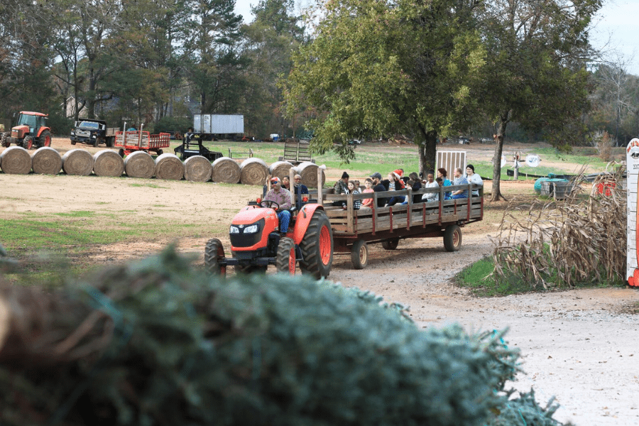 Southern Belle Farm Christmas Hayride