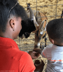 Spring on the Farm – Southern Belle Farm