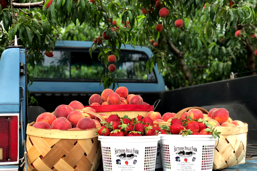 Southern Belle Peaches and Strawberries