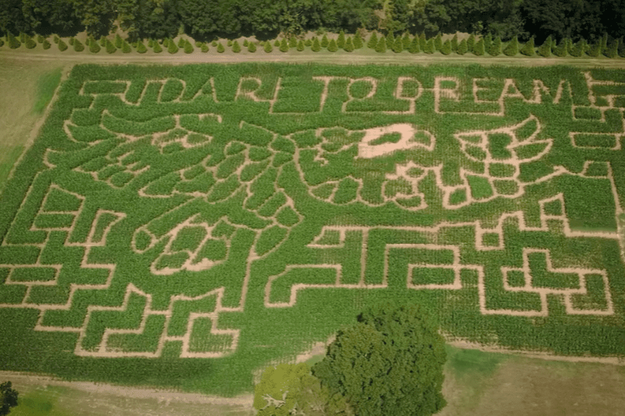 Southern Belle Corn Maze