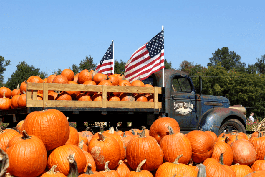 Southern Belle Pumpkins