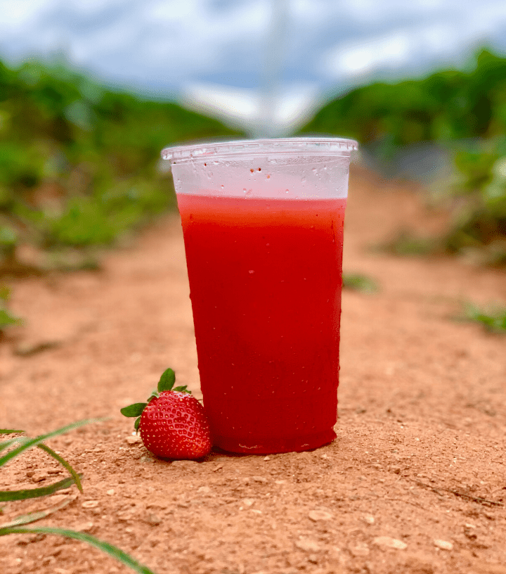 Strawberry Slushie in a strawberry field