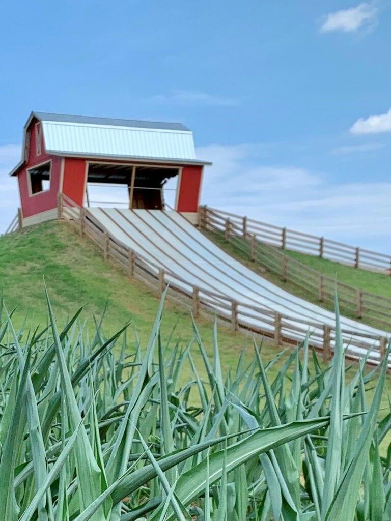 A field with a giant slide