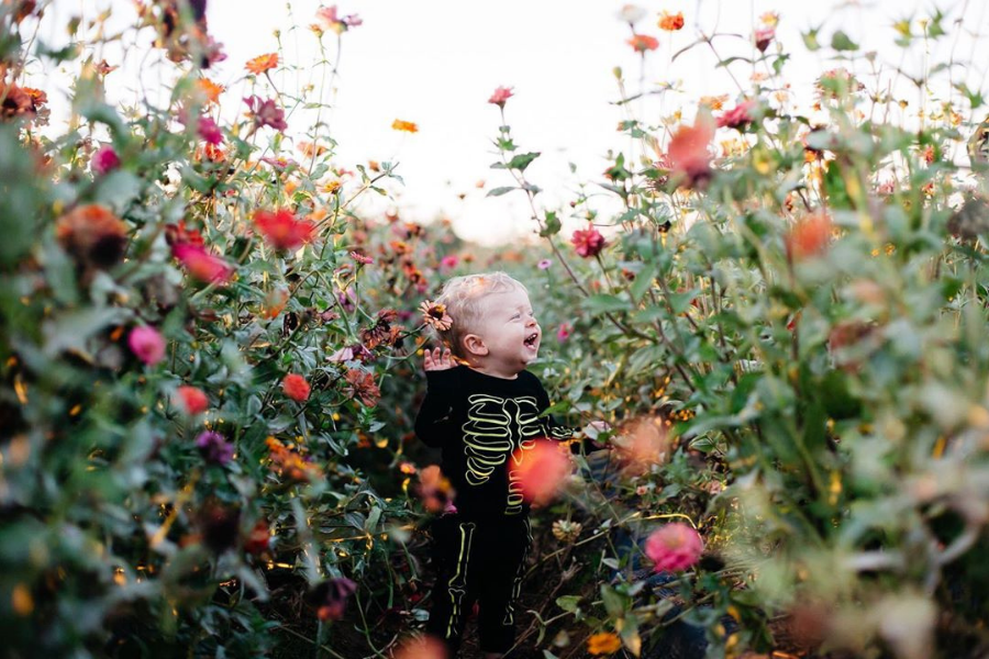 Southern Belle Farm Flower Patch