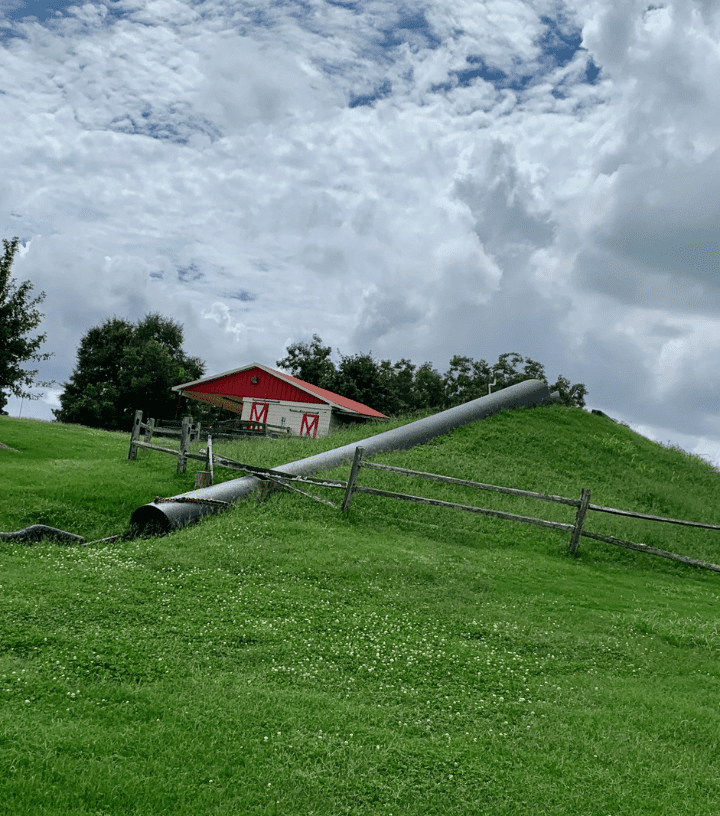 Southern Belle Farm Fall Tunnel Slide