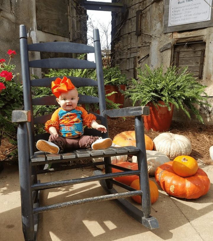 Southern Belle Farm Fall Season