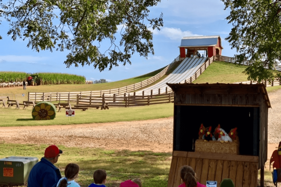 Southern Belle Farm Fall Slide