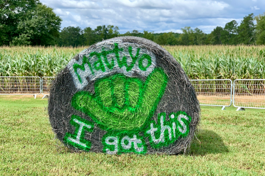 Southern Belle Farm Corn Maze