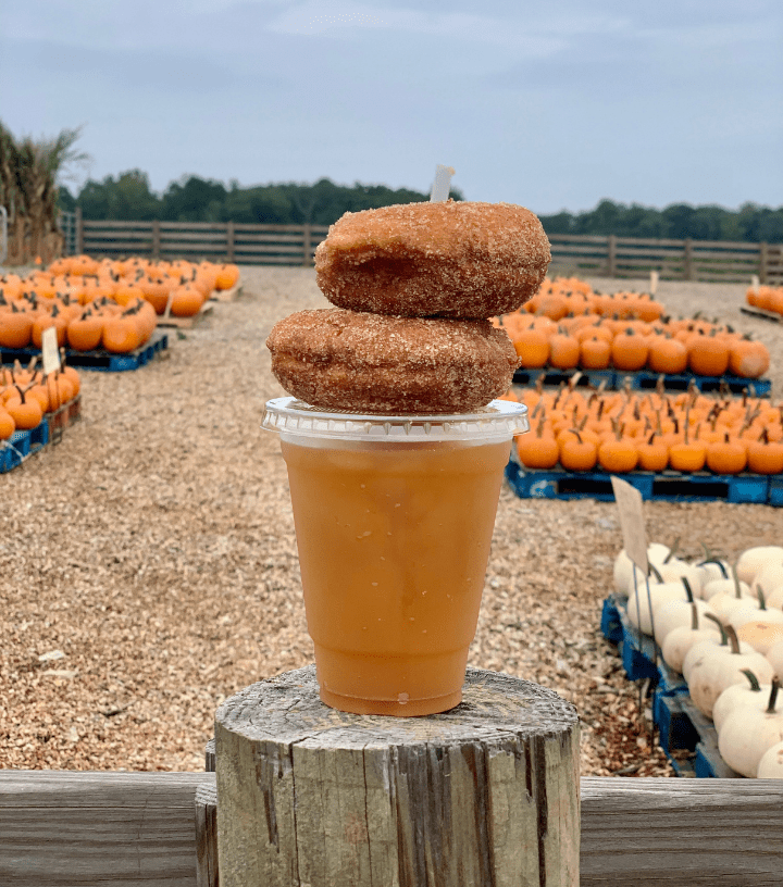 Southern Belle Farm Apple Cider Donut 2 Southern Belle Farm Apple Cider Donut