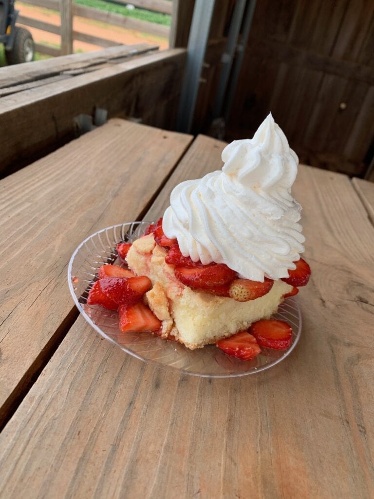 strawberry shortcake and whipped cream on a plate