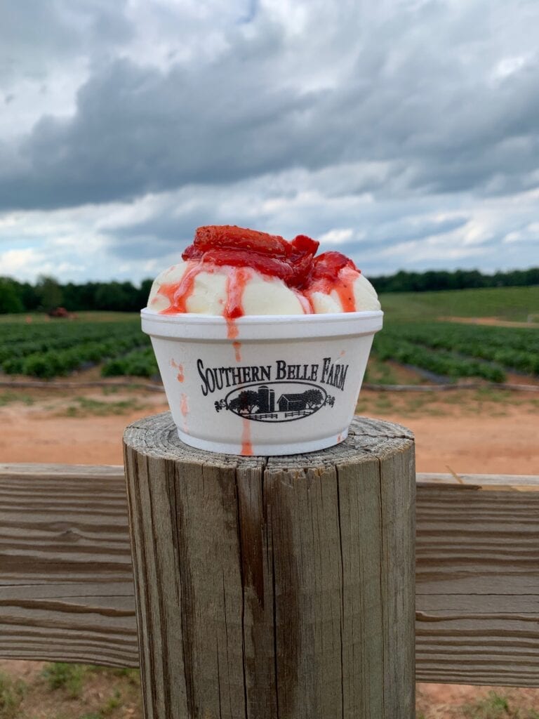 Strawberry ice cream on a wooden post