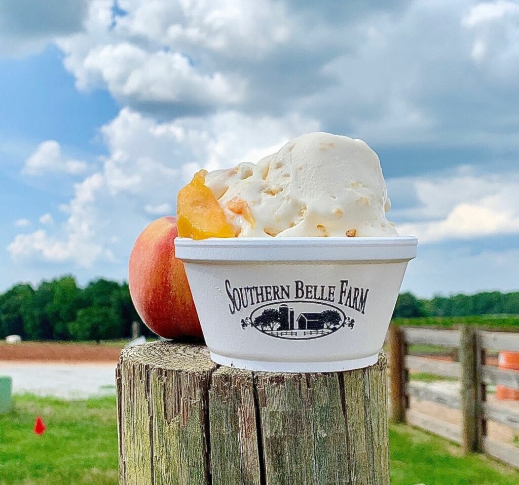 a cup peach ice cream sitting on a fence post