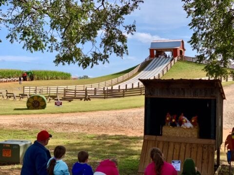 Spring on the Farm – Southern Belle Farm