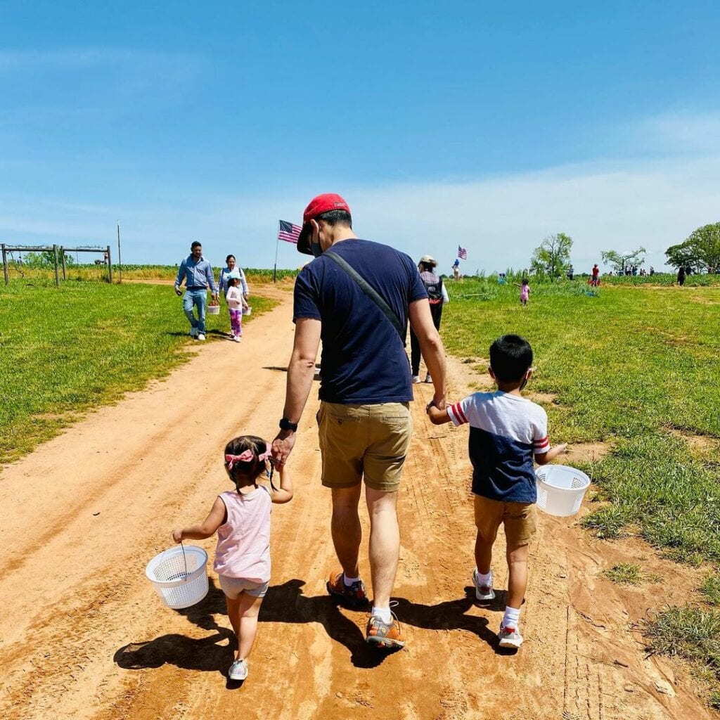 a father and 2 children walking on a farm path