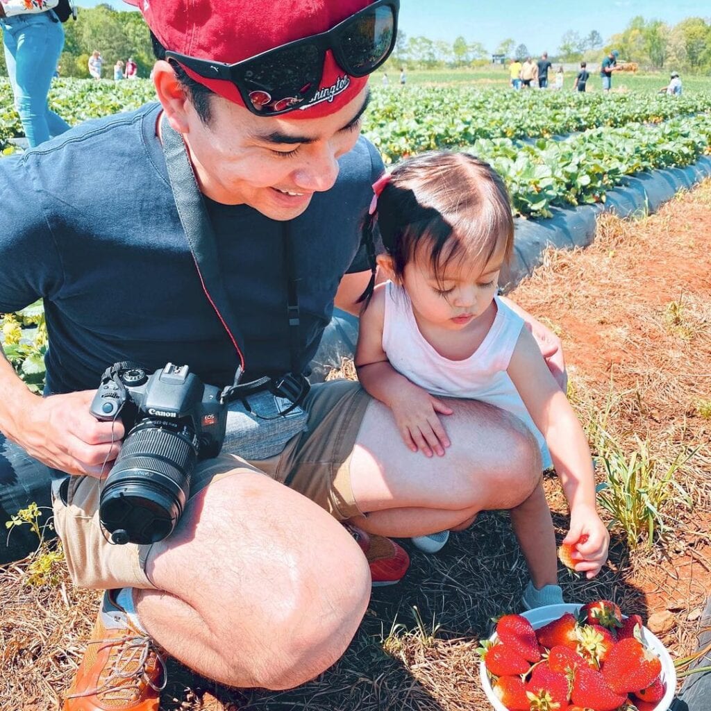 A father and daughter picking strawberries