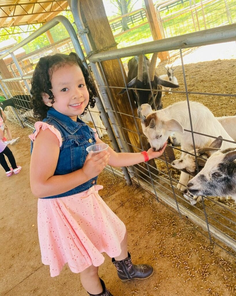 A girl feeding a goat