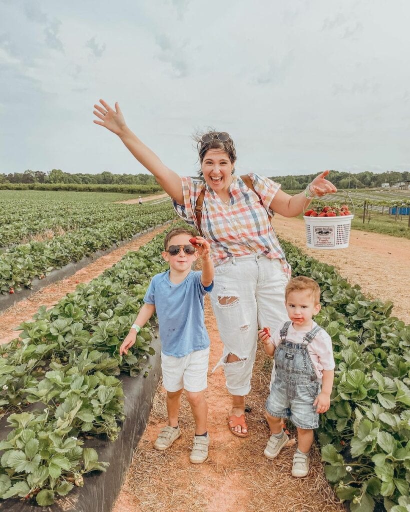 Family picking strawberries at a farm