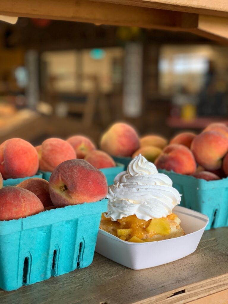 peach cobbler and bins of fresh peaches