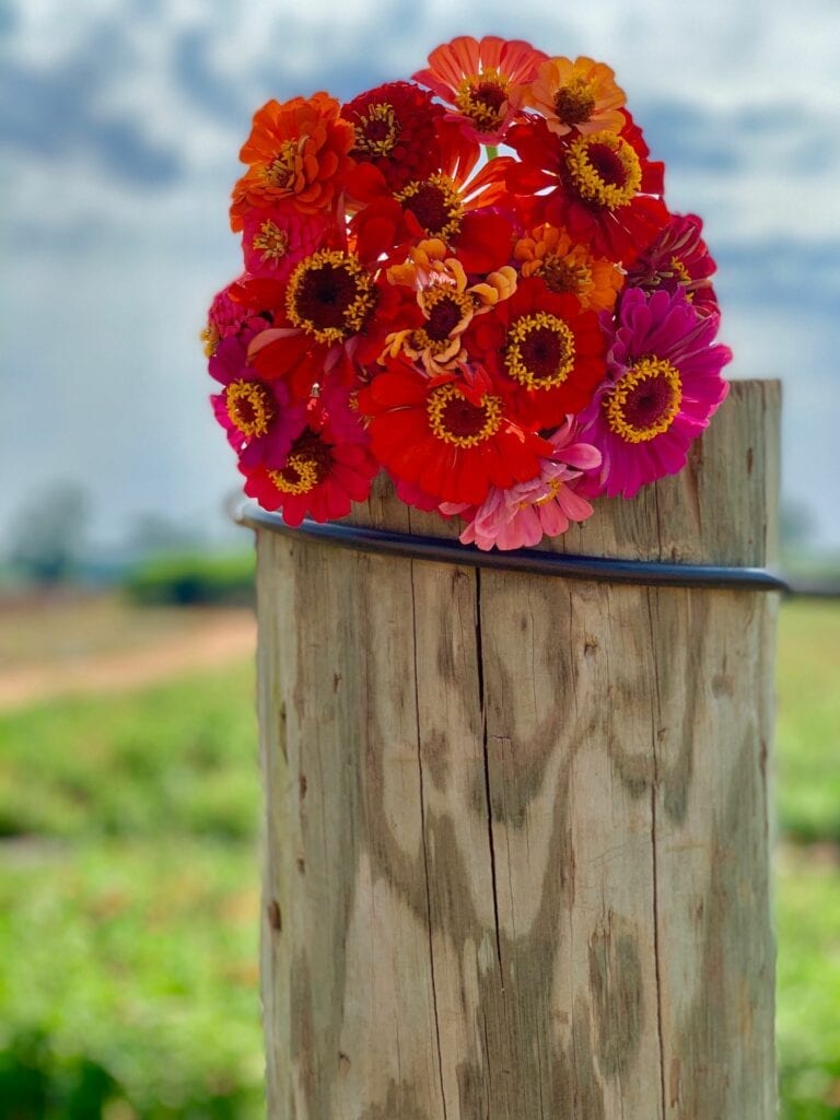 a bouquet of flowers on a fence post