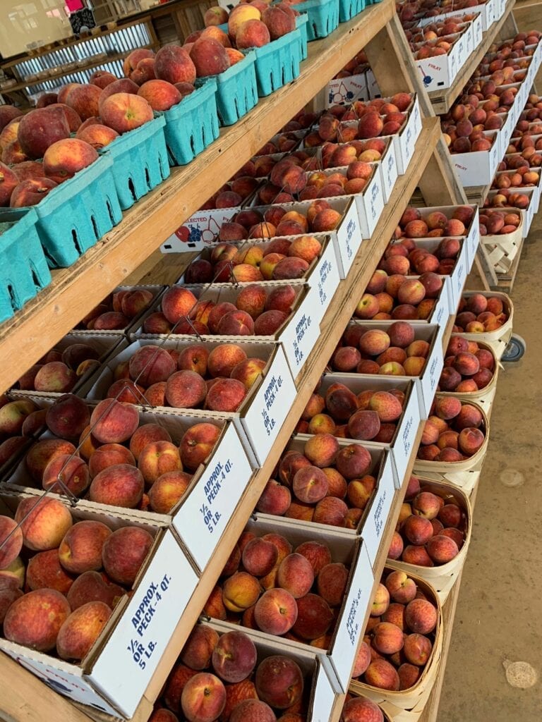 several bins of fresh peaches on shelves