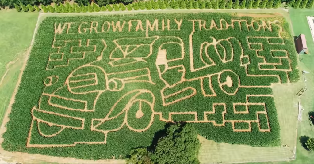 Corn Maze design