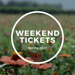 April 26th Saturday 2025
