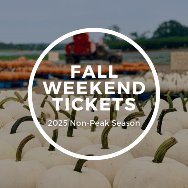 Fall Ticket Non - Peak Season Entry