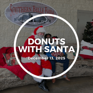 Donuts for Santa