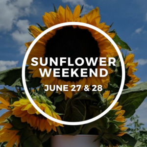 June 28th Sunday 2026 Sunflower